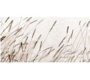 DEC.ICON GRIS 25×50 (2 komada)