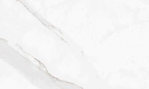NEPTUNE BLANCO 33,3x55-GEO #1,84