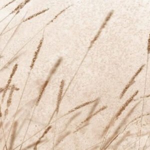 DEC. ICON BEIGE 25x50 (2 KOMADA)