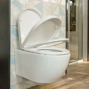 DASKA WC STELLA LUX SC DUROPLAST