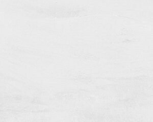 VERIA PERLA 40x120 #1,44