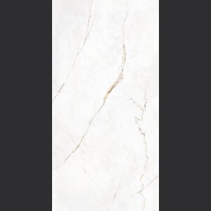 LCP DUBAI GOLD 60x120 #1,44